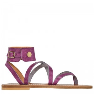 Longchamp x K.Jacques Sandals Women's Sandals Purple | 4753-MGVTS